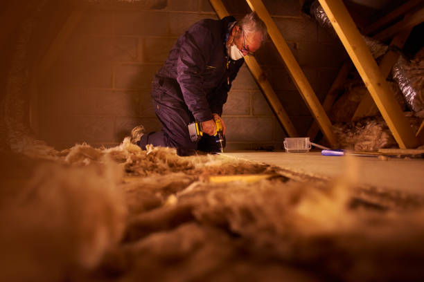 Best Insulation Contractor Near Me  in Paxton, IL